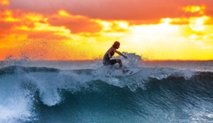 surfing, sunset, waves, surf, surfboard, surfer, water sports, sea, nature, java island, indonesia, water, ocean, seascape